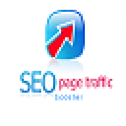 SEO PAGE TRAFFIC BOOSTER