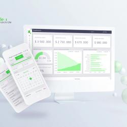 Flexi Projects Light - project management system
