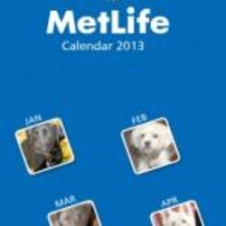 Metlife Custom Calendar App
