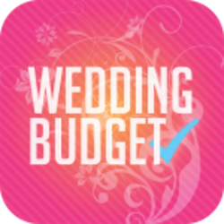 My Wedding Budget