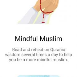 Mindful Muslim App