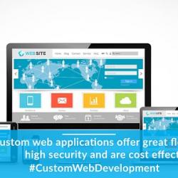 Mobile App Development : Custom Software Development company