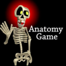 Anatomy Game