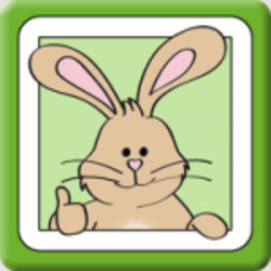 Riddle Rabbit ( Puzzle for Children, Hybrid app )