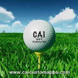 CAI Custom Apps