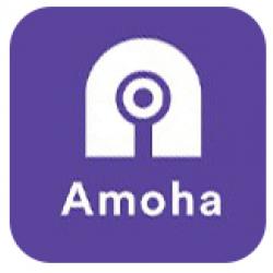 Wep & Mobile App: Amoha