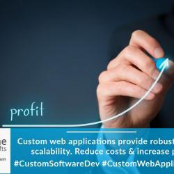 Custom Software Development / Custom App Development