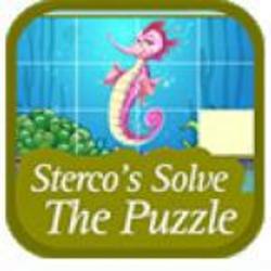 Sterco's Solve The Puzzle