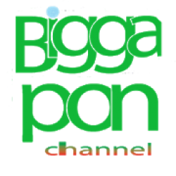 Cover art Biggapon Channel