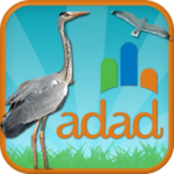 Birding Aljarafe-Doñana