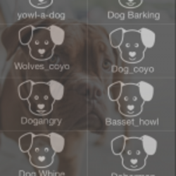 Bark Dog Bark - Entertainment App