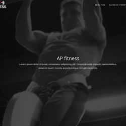 AP Fitness