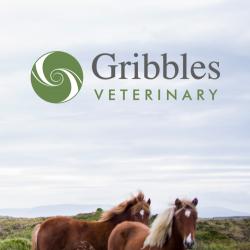 Gribbles Veterinary
