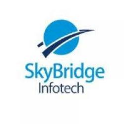 SkyBridge Infotech
