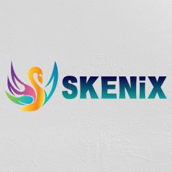 Skenix Infotech