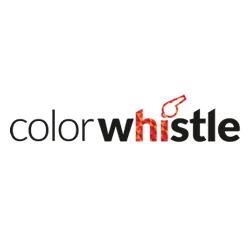 Hire a WordPress Developer From ColorWhistle