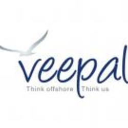Veepal IT Services Pvt. Ltd.