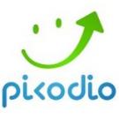 Picodio Digital Agency