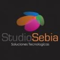 Studio Sebia