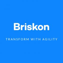Briskon, Inc.
