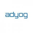 Adyog Software Solutions Pvt Ltd.