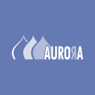Aurora, Russian SEO Company LLC