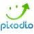 Picodio Digital Agency