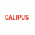 Calipus