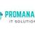 ProManage IT Solutions