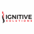 Ignitive Solutions