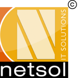 Netsol IT Solutions Pvt. Ltd.