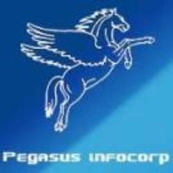 Pegasus info corp